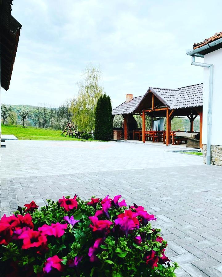 Pensiunea Turistica Retreat Belvedere Rév Kültér fotó