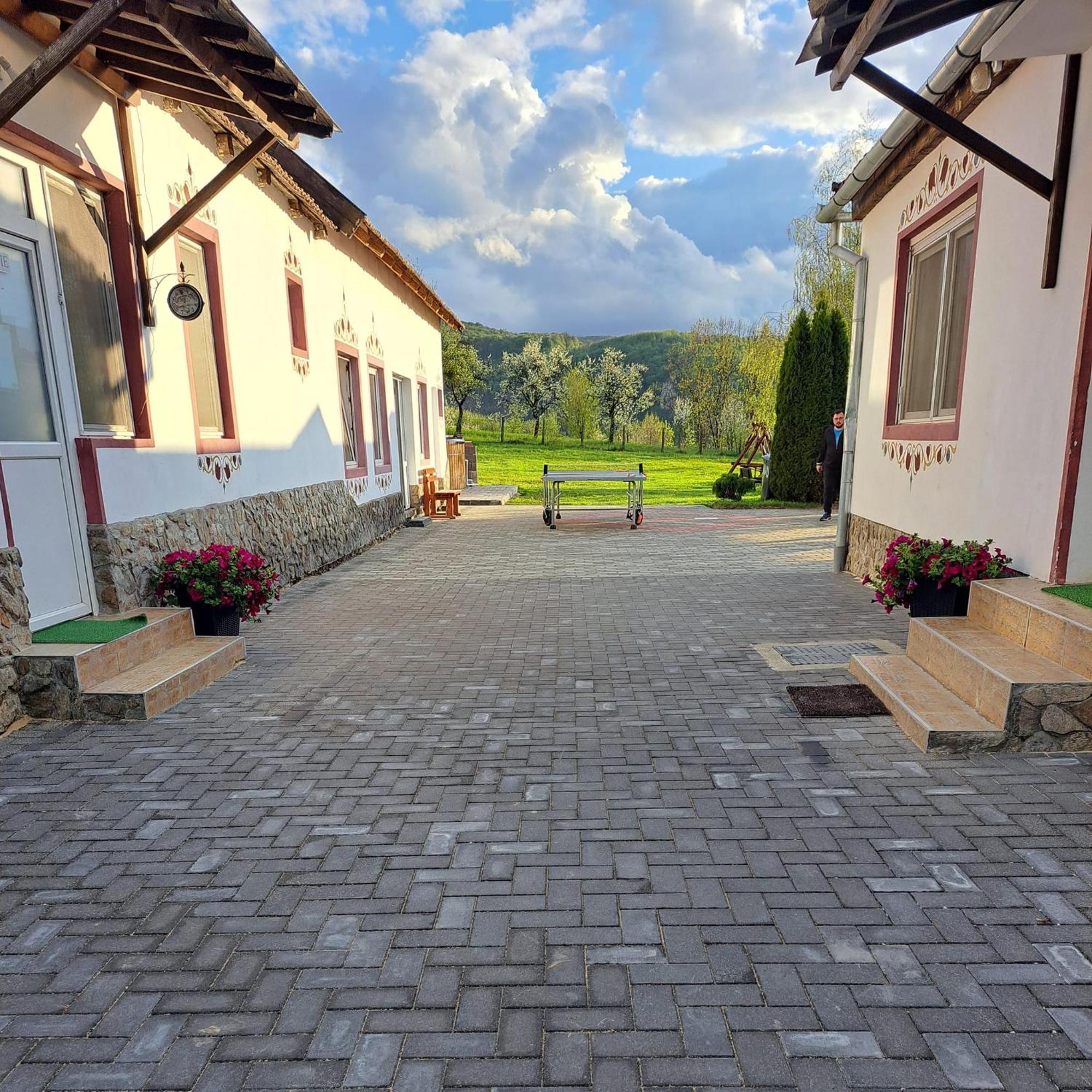 Pensiunea Turistica Retreat Belvedere Rév Kültér fotó